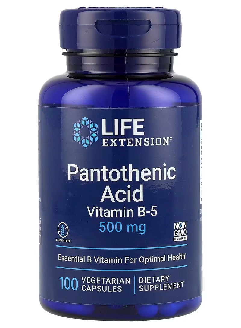 Life Extension, Pantothenic Acid, Vitamin B-5, 500 mg, 100 Vegetarian Capsules - Image 1