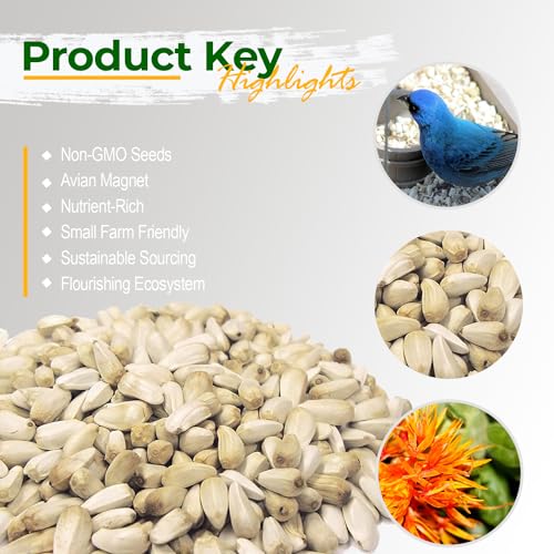 Old Potters Wildlife Safflower Seed for Wildlife Bird Feeding, Non-GMO and USA Small Farm Grown, 6 lbs - Image 2