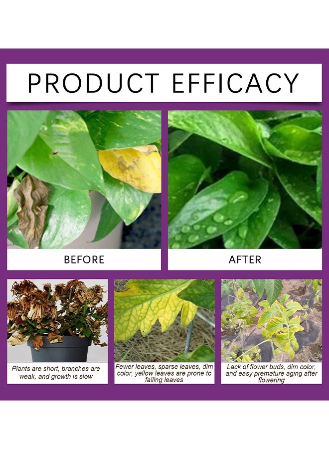 MOONSPRY Liquid Nutrient Concentrate, Liquid Plant Food, Hydroponics Nutrients For Indoor House Plants, Tomato, Strawberry, Lucky Bamboo, Lettuce, Vegetable Garden & Herbs, Aero Nutrients Liquid Fertilizer For All Growing Systems, Root Growth Nutrient Solution, 100ML - Image 3