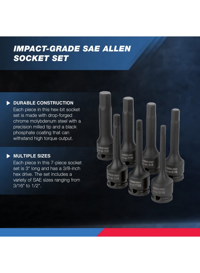 NEIKO 01131B 3/8-Inch-Drive Allen Socket Set, 3-Inch Length, 3/8-Inch Impact Hex-Bit Socket Set, SAE Hex Driver 3/16" to 1/2", CrMo Steel, Impact-Grade, 7-Piece Set - Image 1