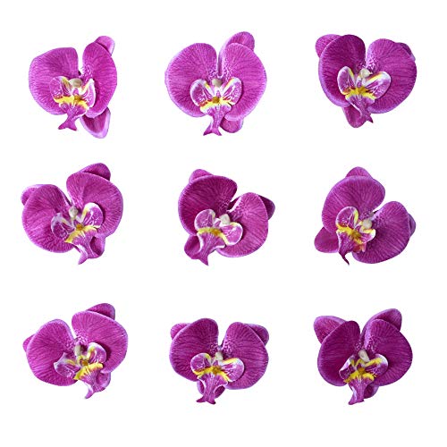 HOKPA Artificial Silk Phalaenopsis Flower Heads, Fake Butterfly Orchid Heads for Wedding Floral Bouquet Decor DIY Craft Making Bridal Shower Photography Props (20pcs Purple) - Image 1