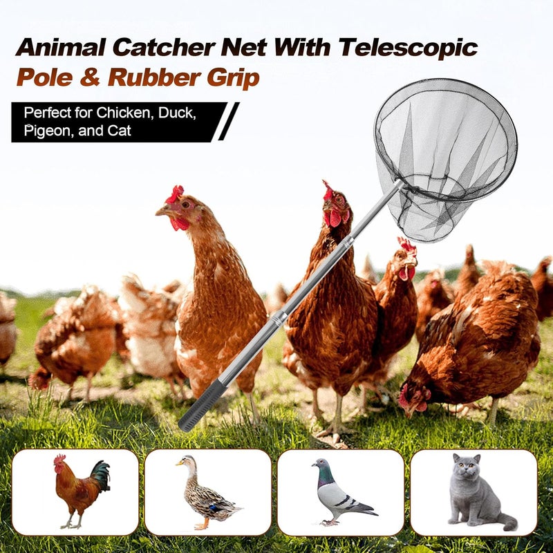 Smarkey Animal Catcher Net, Chicken Catching Net for Poultry Supplies, Extendable 72" Made of Stainless Steel Fishing net Catcher for Catching Small Duck, Geese, Bird, Bat, Chickens, cat, Poultry - Image 2