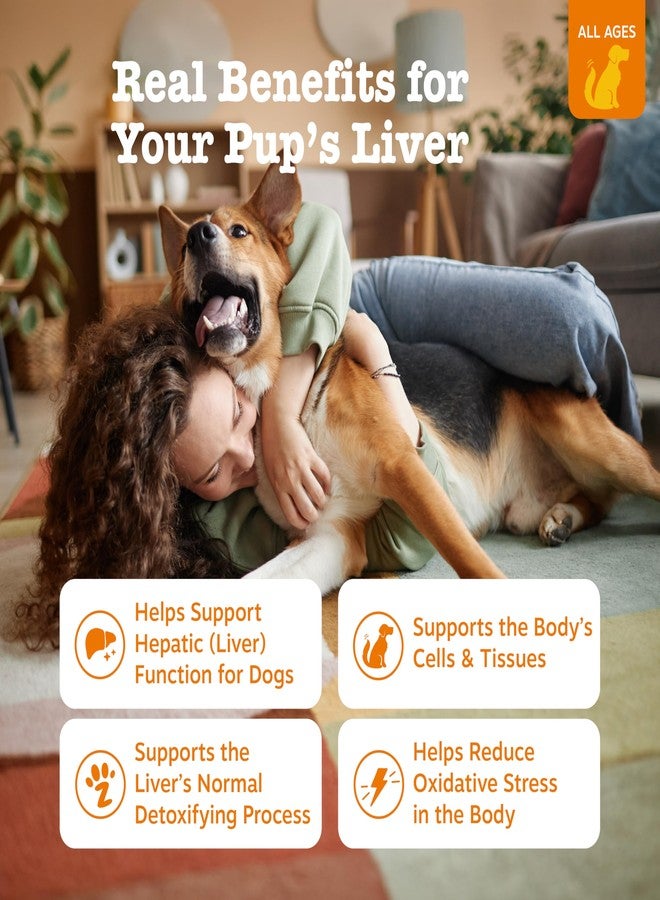 Zesty Paws Liver Support Supplement for Dogs - with Milk Thistle Extract, Turmeric Curcumin, Choline - Soft Chew Formula - for Dog Liver Function - Image 2