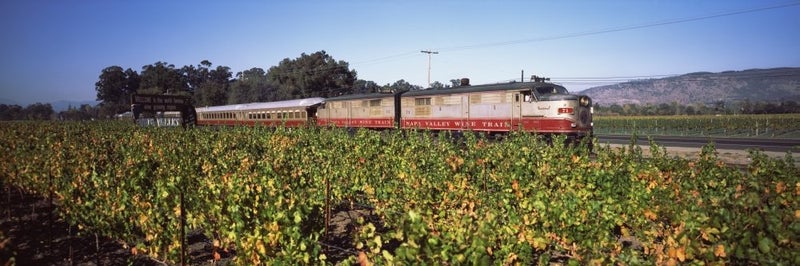 Napa Valley Wine Train passing through vineyards Napa Valley California USA Poster Print (27 x 9)