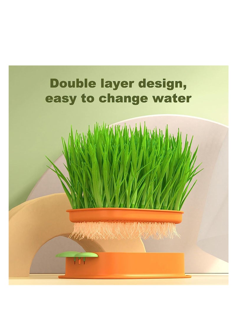SYOSI Cat Grass Planter Box, Cat Grass Plasticc Tray, Hydroponic Cat Grass Box, Cat Grass for Indoor Soilless Cats Plastic Catnip Cat Grass Box for Outdoor Cat Dogs and Other Pets (2PCS)  - Image 5