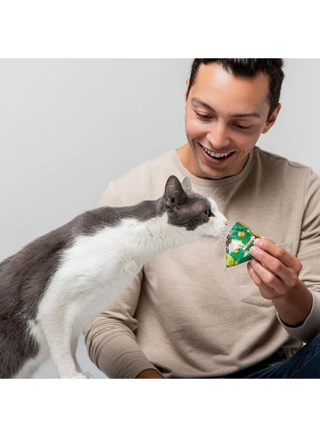 إينابا مكافآت القطط من إينابا تشورو المرحة، مكافآت قطط محشوة بالتورين، محشوة بدجاج مخبوز طري ولذيذ، 0.42 أونصة لكل قطعة، 12 سمكة تترا، عبوة متنوعة من 4 نكهات - Image 3