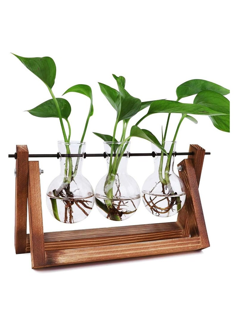 Oasisgalore Retro Plant Terrarium with Wooden Stand and 3 Bulb Glass Vase  - Image 1