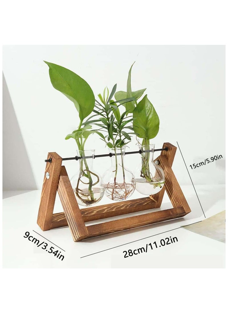 Oasisgalore Retro Plant Terrarium with Wooden Stand and 3 Bulb Glass Vase  - Image 2