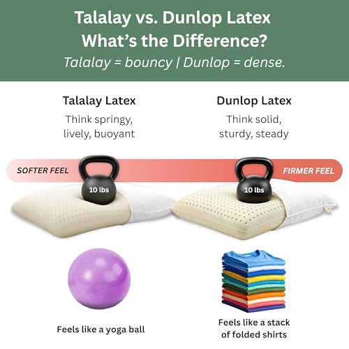 OrganicTextiles Natural Latex Pillow with Organic Cotton Cover (King Size, Firm), GOTS Certified, Bed Pillow for Sleeping, Neck Pain Relief Help, Head Support, for Side Back Stomach Sleeper - Image 5