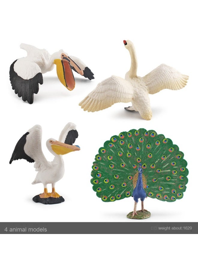 NIBEMINENT Realistic Forest Bird Model - Pelican, Knob-Nosed Swan, and Peacock Desktop Statues for Decoration
