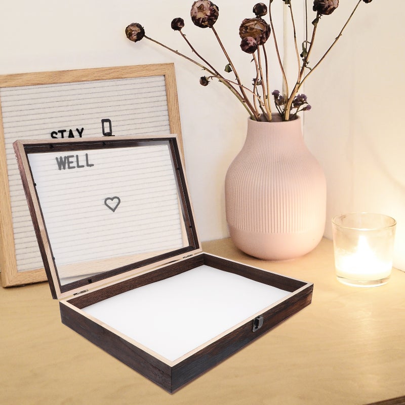 2pcs Specimen Display Case Protective Specimen Case Butterflies Storage Box - Image 3