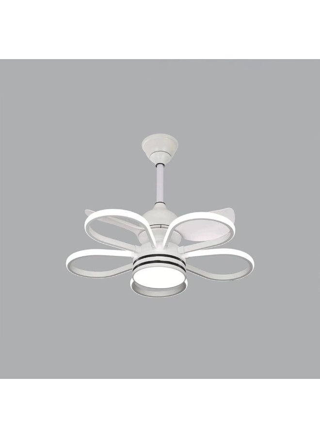 DANUBE HOME Danube Home Dora Mx Modern Ceiling Fan For Living Room, Bed Room,Hall| Silent Adjustable Speed Fan With Dimmable Inbuilt LED Lights(Included)| Hanging Fan| Iron Farme, White Finish (1 Year Warranty) 