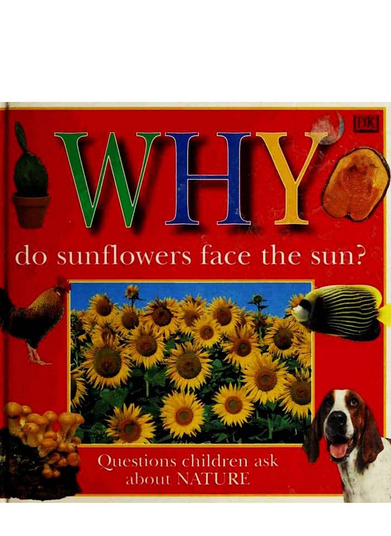 WHY DO SUNFLOWERS FACE THE SUN (Why Books Series)  - Image 1