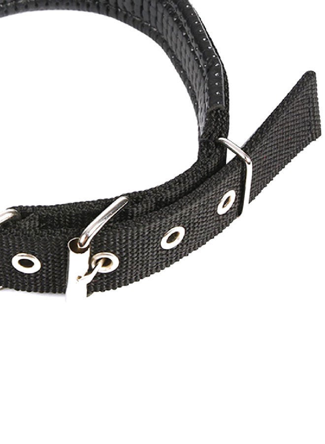 NIBEMINENT Foam Sponge Dog Collar Black 15x15x4cm - Image 1