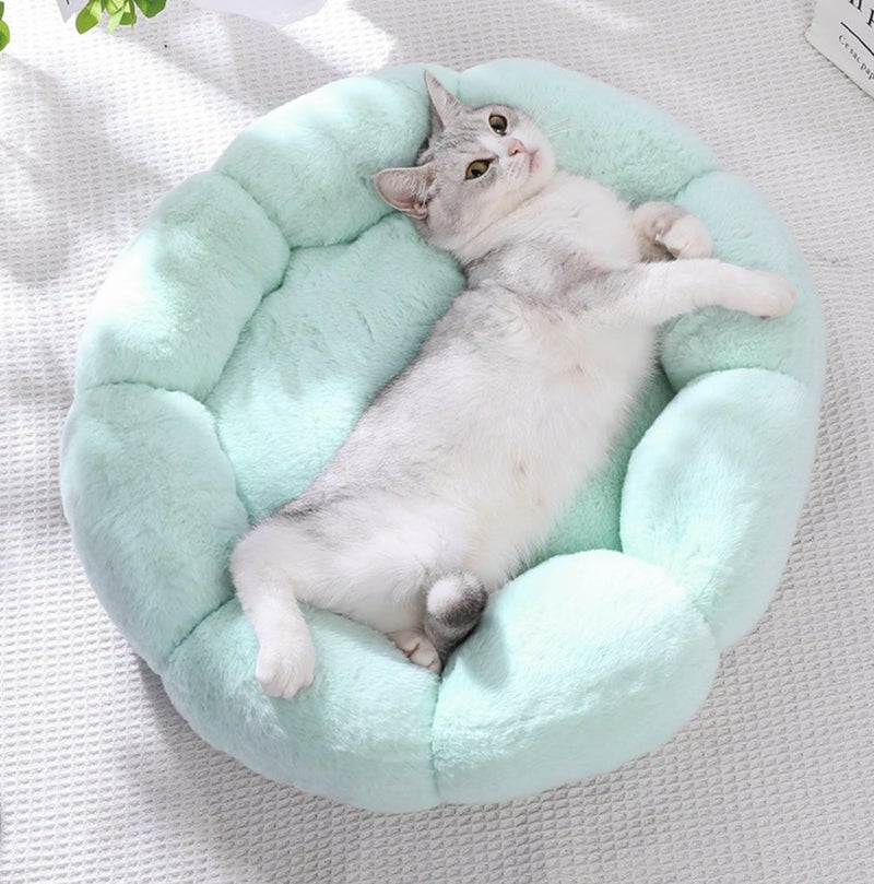 مأخوذ من الزهور لينام дълбоко - Image 2