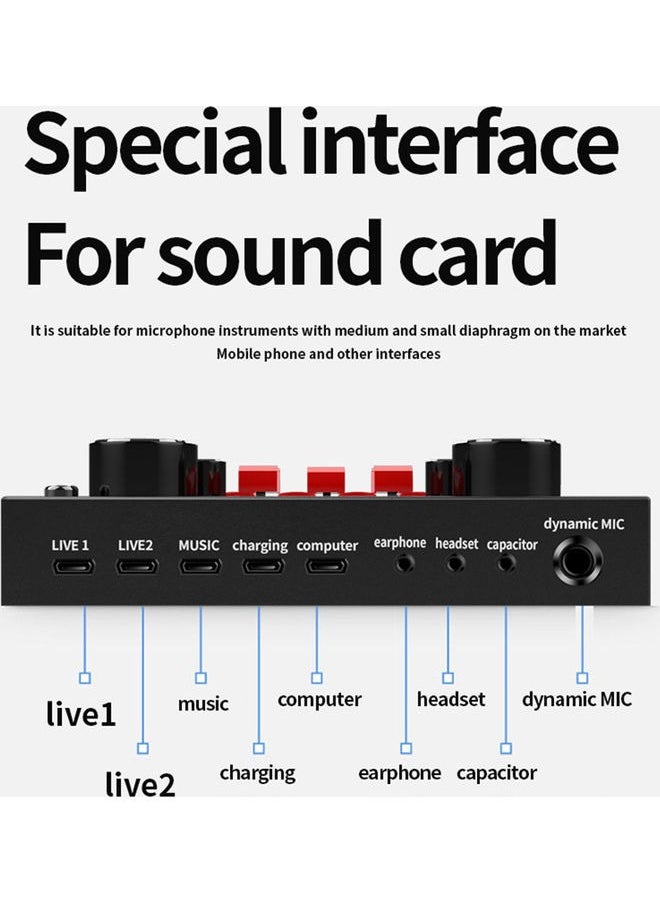 Generic Studio Recording And Broadcasting Microphone Set Black  - Image 5