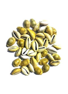 DEV POOJA STORE DEV POOJA STORE Yellow Kawdi Natural Lakshmi Peeli Kodi Set of 21 Natural Cowrie KawdiKodiGavvalu Shells for Laxmi PujaPooja Traditional Wealth Prosperity Symbol  - Image 1