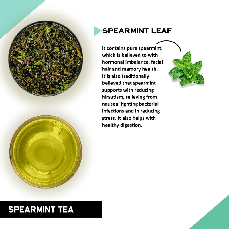 TEACURRY Spearmint Leaf Tea (50 Grams, 100 Cups) - Helps with Hormonal Imbalance, Facial Hair, Memory - Image 2