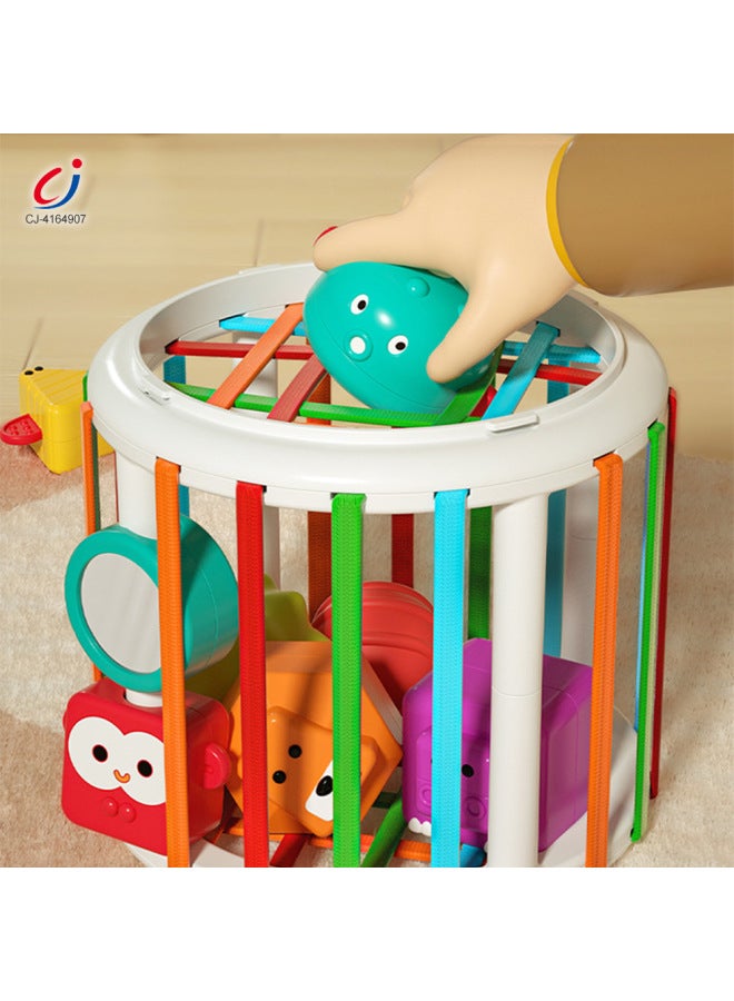 CJ Baby Multifunctional Sesele Music Sensory Training Hand Fine Movements Early Education Educational Toys - Image 2