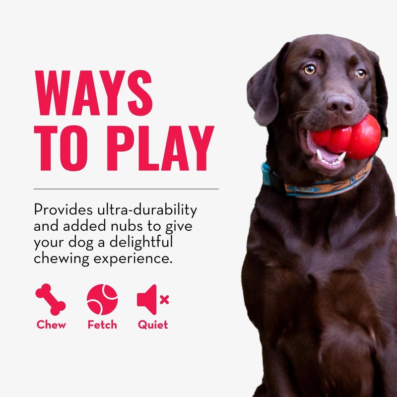 KONG Ring - Natural Rubber Ring Toy for Healthy Chewing Habits - Chew Toy Supports Dog Dental Health - Dog Toy Supports Instincts During Playtime - for Small/Medium Dogs - Image 5