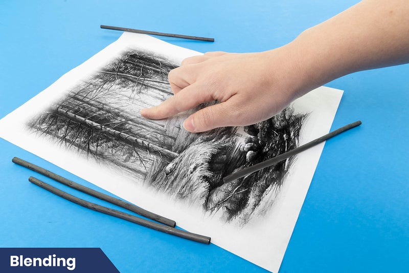 Pacific Arc Artist Vine Charcoal, Hard, Black 12 Pieces, Artist Vine Charcoal Sticks, Hard and Smooth Drawing Charcoal - Image 5