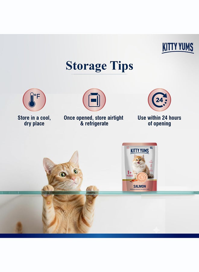 Kitty Yums Salmon Mousse Cat 80gm – Pack of 24 - Image 5