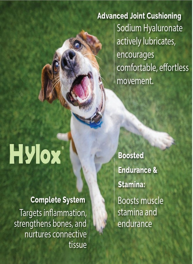 Pet Health Solutions Hylox Soft Chews for Dogs - Supports Joints & Cushions Connective Tissues - Glucosamine - Alpha Linolenic Acid - 120 Soft Chews - Image 4