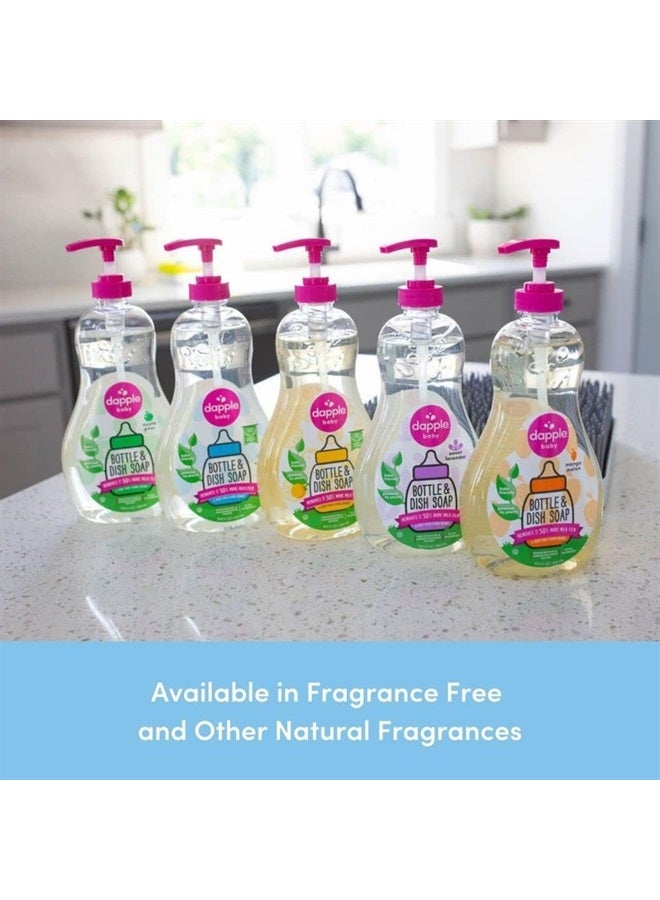 Baby, Bottle and Dish Soap Dish Liquid Plant Based Hypoallergenic 1 Pump Included, Packaging May Vary, Lavender, 16.9 Fl Oz (Pack of 3)