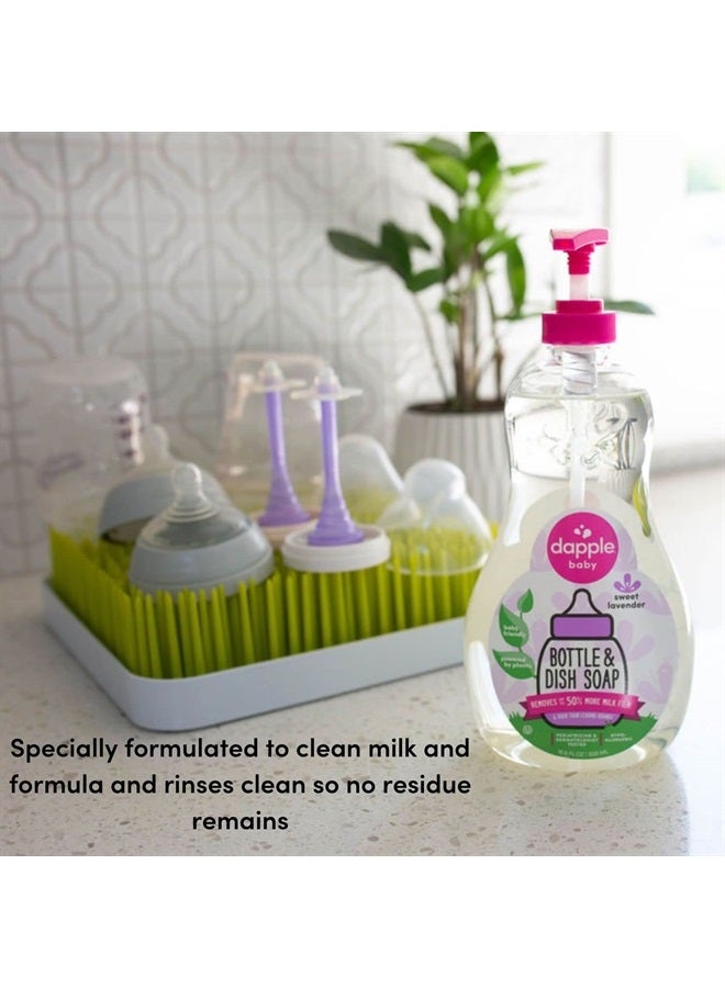 dapple Baby, Bottle and Dish Soap Dish Liquid Plant Based Hypoallergenic 1 Pump Included, Packaging May Vary, Lavender, 16.9 Fl Oz (Pack of 3)  - Image 4