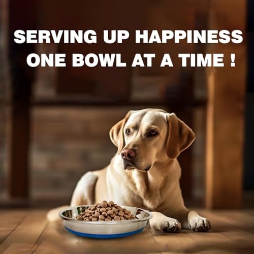 Durapet Non-Skid Stainless Steel Food & Water Bowl – Rust-Resistant Durable Pet Feeding Bowl with Anti-Slip Base, Hygienic & Easy to Clean, Dishwasher Safe, 250ml - Image 2