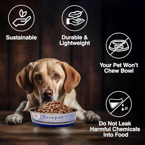 Durapet Non-Skid Stainless Steel Food & Water Bowl – Rust-Resistant Durable Pet Feeding Bowl with Anti-Slip Base, Hygienic & Easy to Clean, Dishwasher Safe, 250ml - Image 3