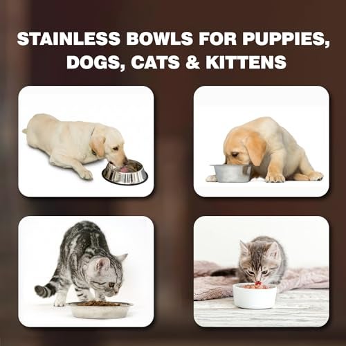 Durapet Non-Skid Stainless Steel Food & Water Bowl – Rust-Resistant Durable Pet Feeding Bowl with Anti-Slip Base, Hygienic & Easy to Clean, Dishwasher Safe, 250ml - Image 5