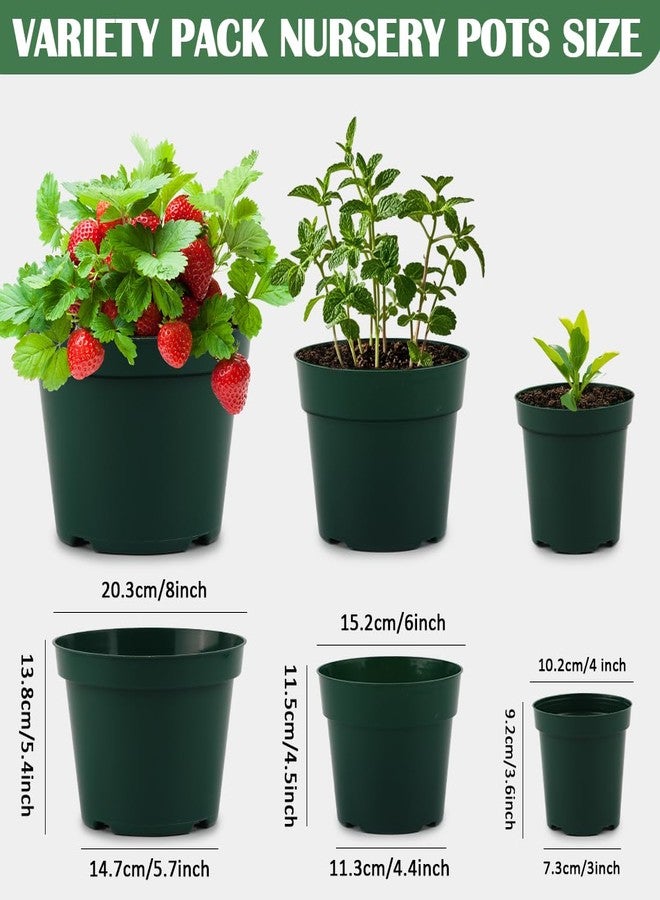 RooTrimmer 15 Pack 4/6/8 Inch Plant Nursery Pots, Thickened Plastic Pots for Plants with Drainage Holes, Sturdy Seedling Pots, Seed Starting Pot, Flower Pots for Indoor Outdoor Plants, Green - Image 2