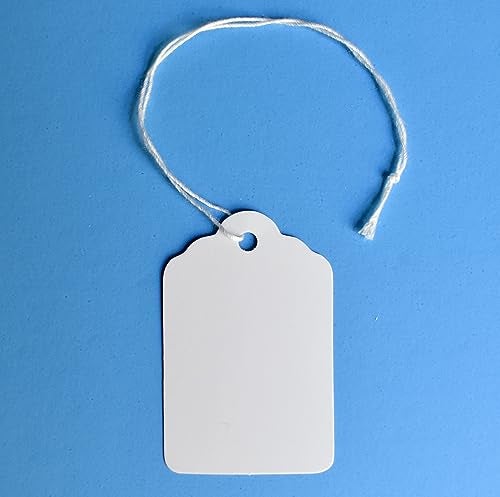 EZDOM 1000 Marking Tags with String Attached - 2 1/4” x1 7/16”, Blank White Tags with String for Pricing and Crafting, Small Strung Marking Labels - Image 1