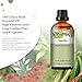 PHATOIL Vanilla Essential Oil 101FlOz 30ML PHATOIL Pure Essential Oil Singles for Aromatherapy Diffusers Humidifiers Great for DIY Candle and Soap Making Gift for Friend - Image 4
