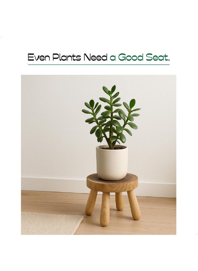 ABBI NIMO 7 Inch Solid Wood Step Stool, Natural Growth Ring Wood Stool for Adults, Kids and Toddlers, Simple Minimalist Riser for Plants and Home Décor - Image 5