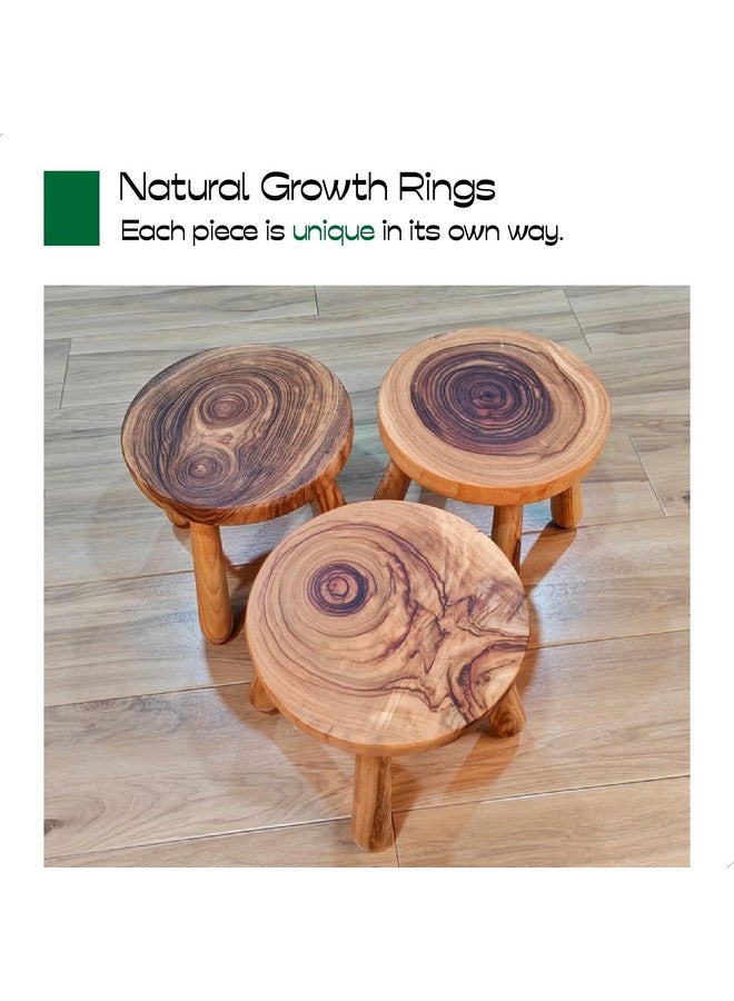 ABBI NIMO 7 Inch Solid Wood Step Stool, Natural Growth Ring Wood Stool for Adults, Kids and Toddlers, Simple Minimalist Riser for Plants and Home Décor - Image 4