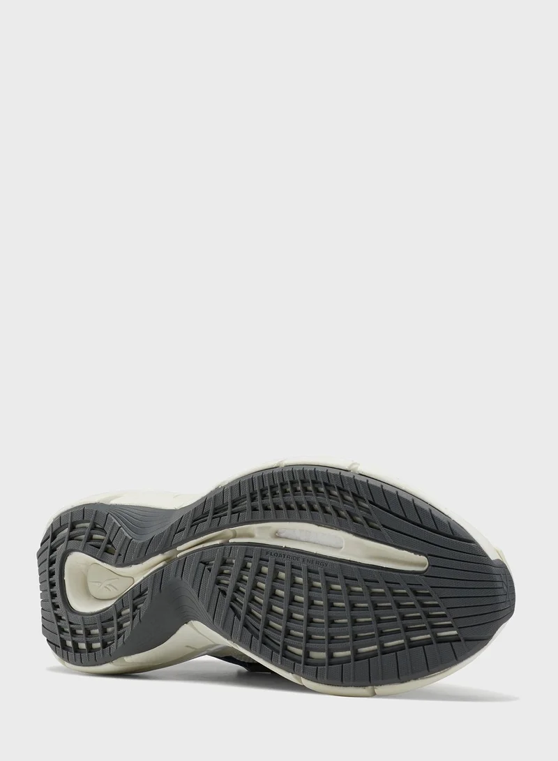 Reebok Zig 3D Storm Hydro