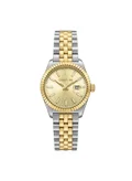 CERRUTI 1881 Silver/Yellow Gold