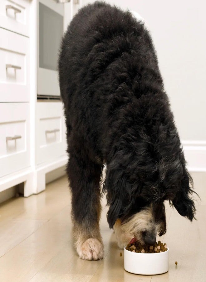 Open Farm أوبن فارم، طعام جاف للكلاب خالٍ من الحبوب، رو ميكس، حبيبات غنية بالبروتين مغلفة بمرق العظام مع قطع مجففة بالتجميد، سمك السلمون الأبيض وسمك الصخور، وصفة المحيط البري، كيس 3.5 رطل - Image 4