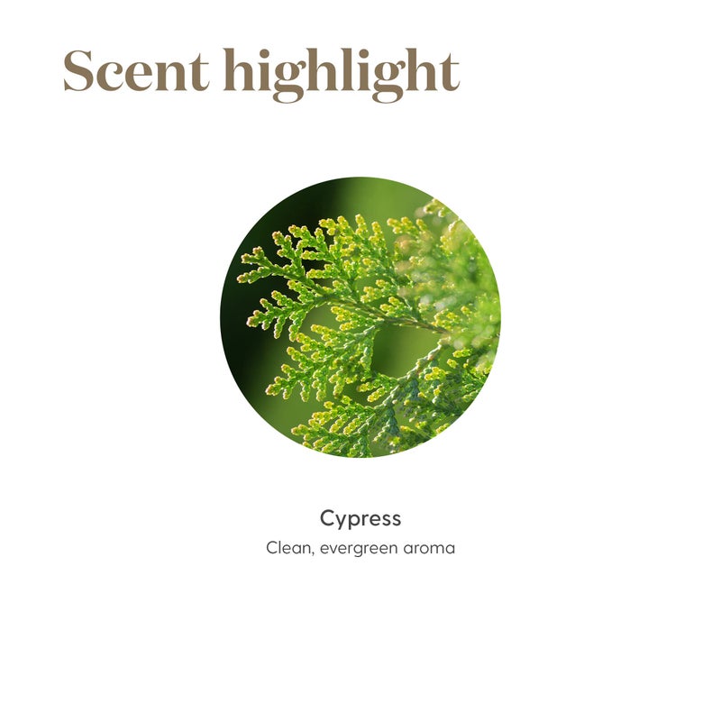 Young Living Cypress 15ml Essential Oils - Promotes The Appearance of Healthy-Looking Hair, Has Benefits for Skin, Hair, and Scalp, and Creates a Sense of Security and Grounding - Image 5