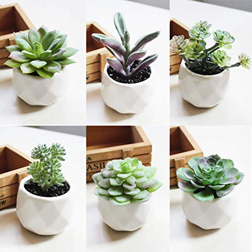 Augshy Artificial Succulents, 16 Pack Fake Succulents Plants Artificial Small Fake Plants Faux Succulents Unpotted for Lotus Landscape Decorative Garden Arrangement Decor - Image 5