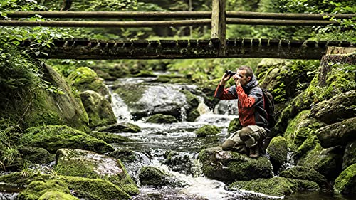 Steiner Safari UltraSharp Binoculars Compact Lightweight Performance Outdoor Optics, 10x42 - Image 3