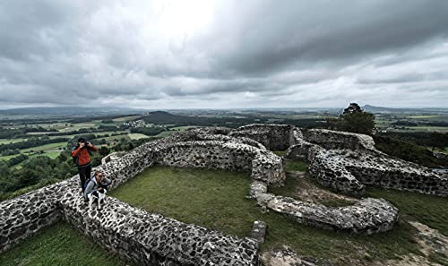 Steiner Safari UltraSharp Binoculars Compact Lightweight Performance Outdoor Optics, 10x42 - Image 4