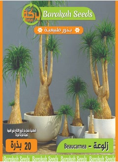 ماركة غير محددة بذور زهور ذات معدل إنبات عالي ـ زلوعة 