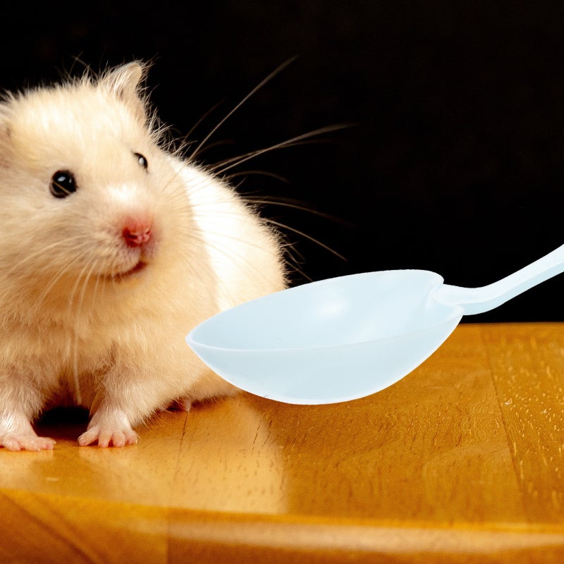 10Pcs Pet Grain Spoon Household Food Spoon Reptile Food Scoop Hamster Food Spoon For Pet - Image 3