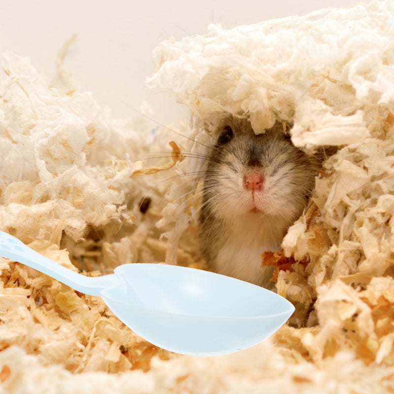 10Pcs Pet Grain Spoon Household Food Spoon Reptile Food Scoop Hamster Food Spoon For Pet - Image 4