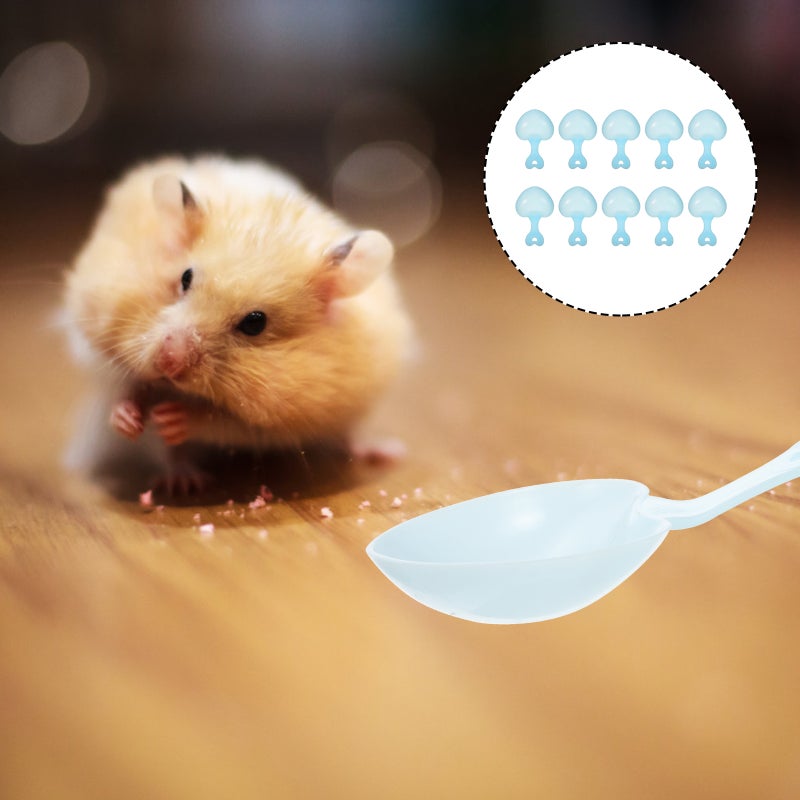 10Pcs Pet Grain Spoon Household Food Spoon Reptile Food Scoop Hamster Food Spoon For Pet - Image 1