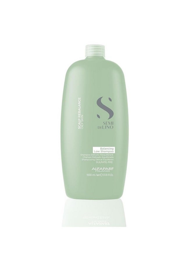 ALFAPARF MILANO Semi Di Lino Scalp Rebalance Shampoo For Dry Scalp And Oily Hair Sulfatefree For Excessive Oiliness And Flakes Sulfate, Paraben And Paraffin Free Professional Salon Quality (1000Ml)  - Image 1
