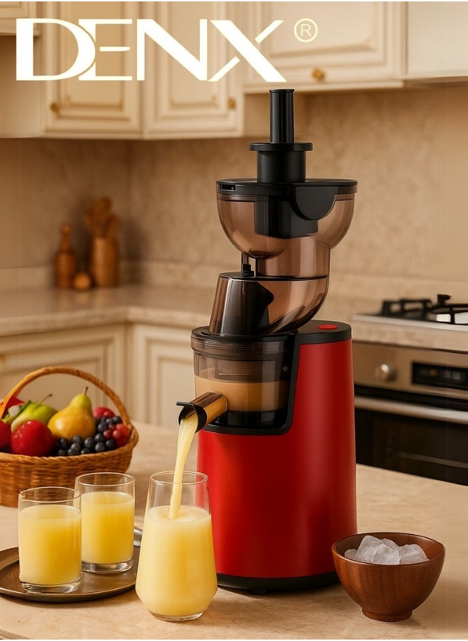 DENX DX3203 Slow Juicer – 1000W Power, 500ml Capacity, Modern Compact Design, Continuous Operation up to 30 Minutes, with Cleaning Brush and Stirring Stick – For Fresh, Healthy, Nutrient-Rich Juices